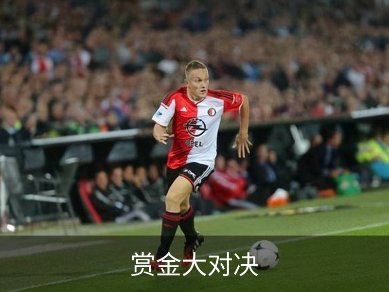 了解赏金大对决